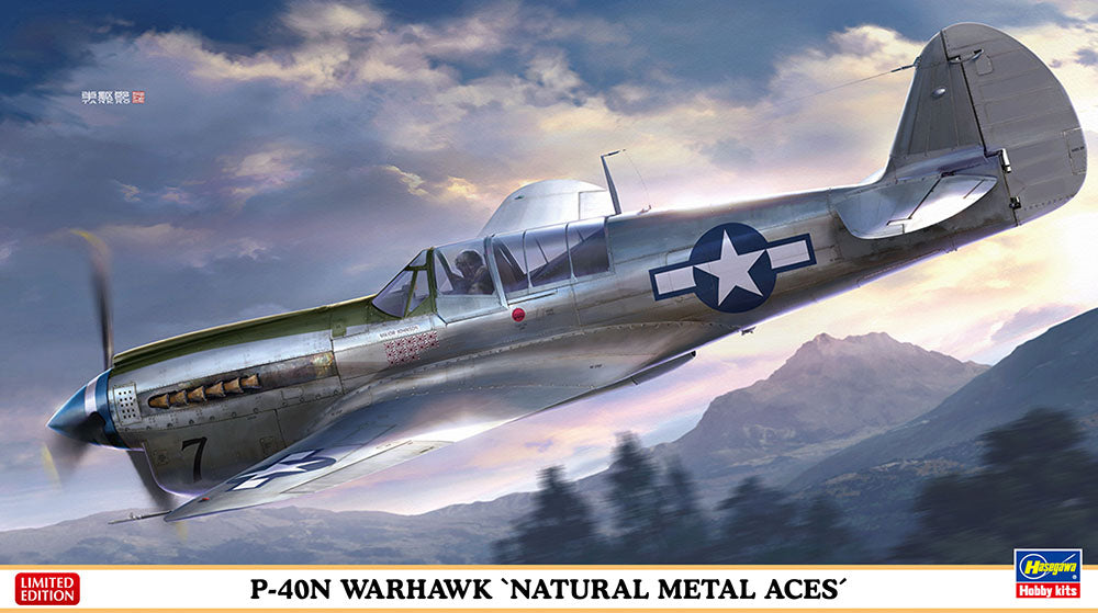 Hasegawa 1/48 P-40N ''Natural Metal Aces''