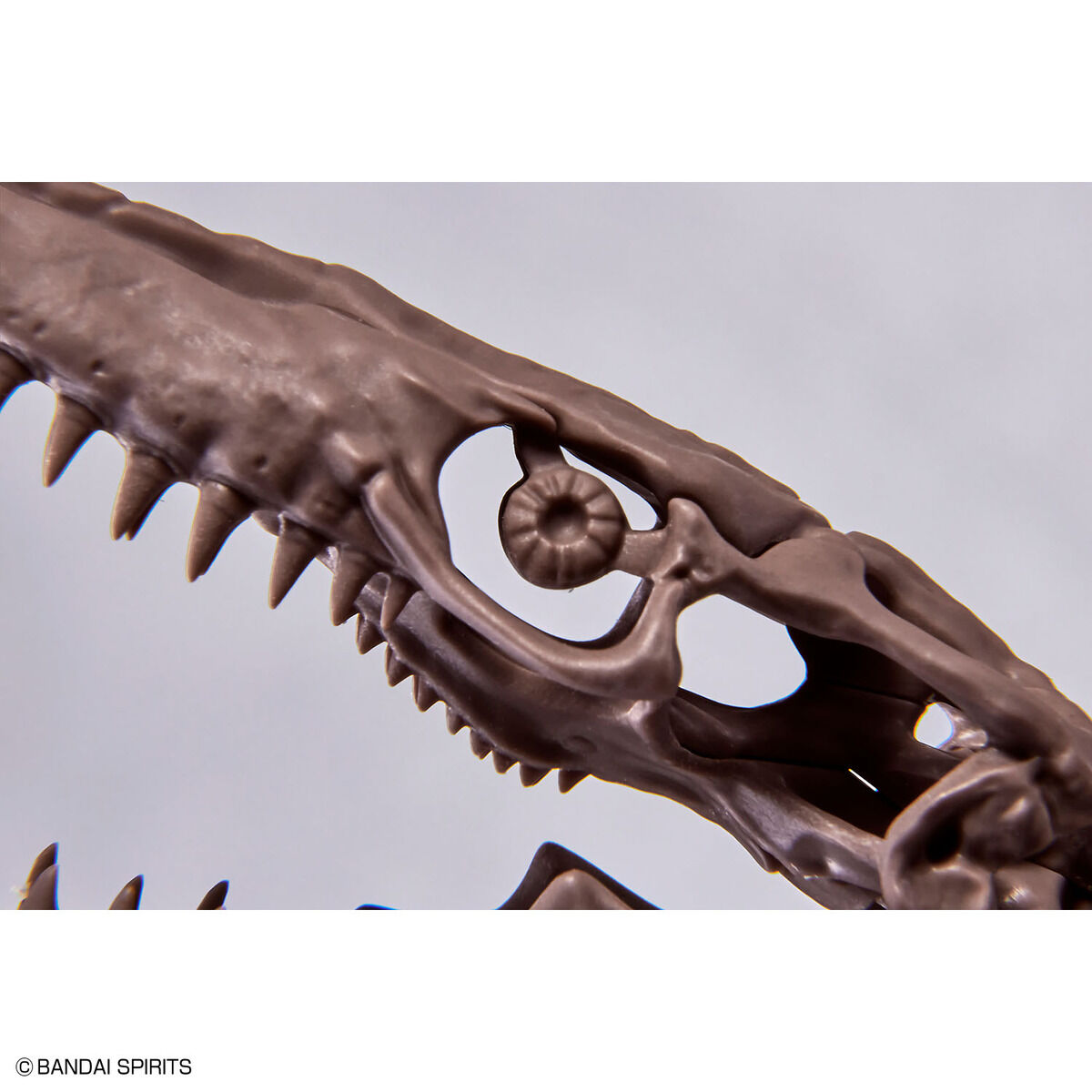 Bandai 1/32 Imaginary Skeleton Mosasaurus