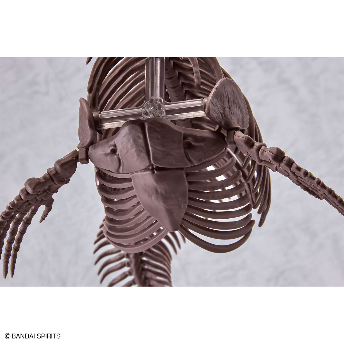 Bandai 1/32 Imaginary Skeleton Mosasaurus
