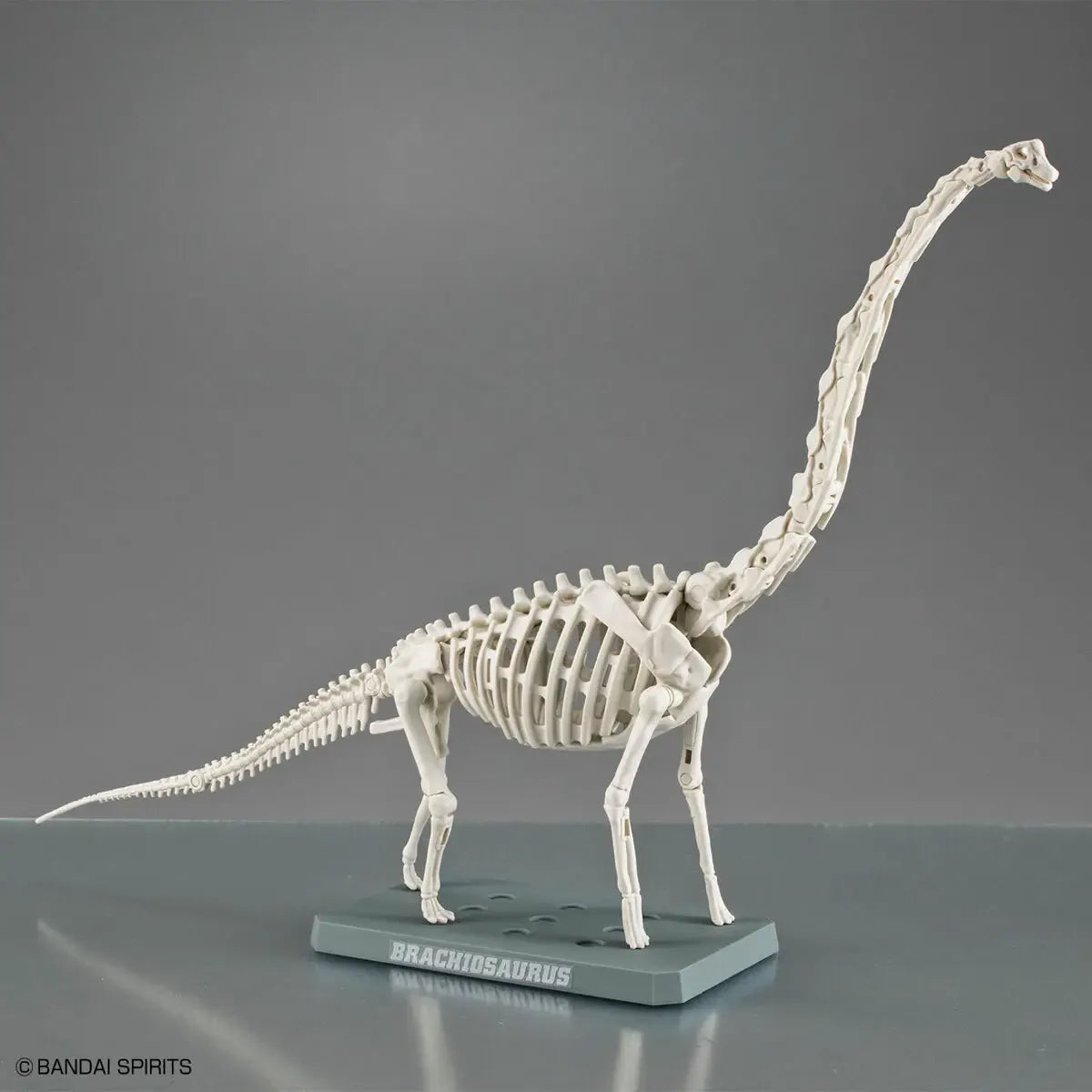 Bandai Plannosaurus Brachiosaurus