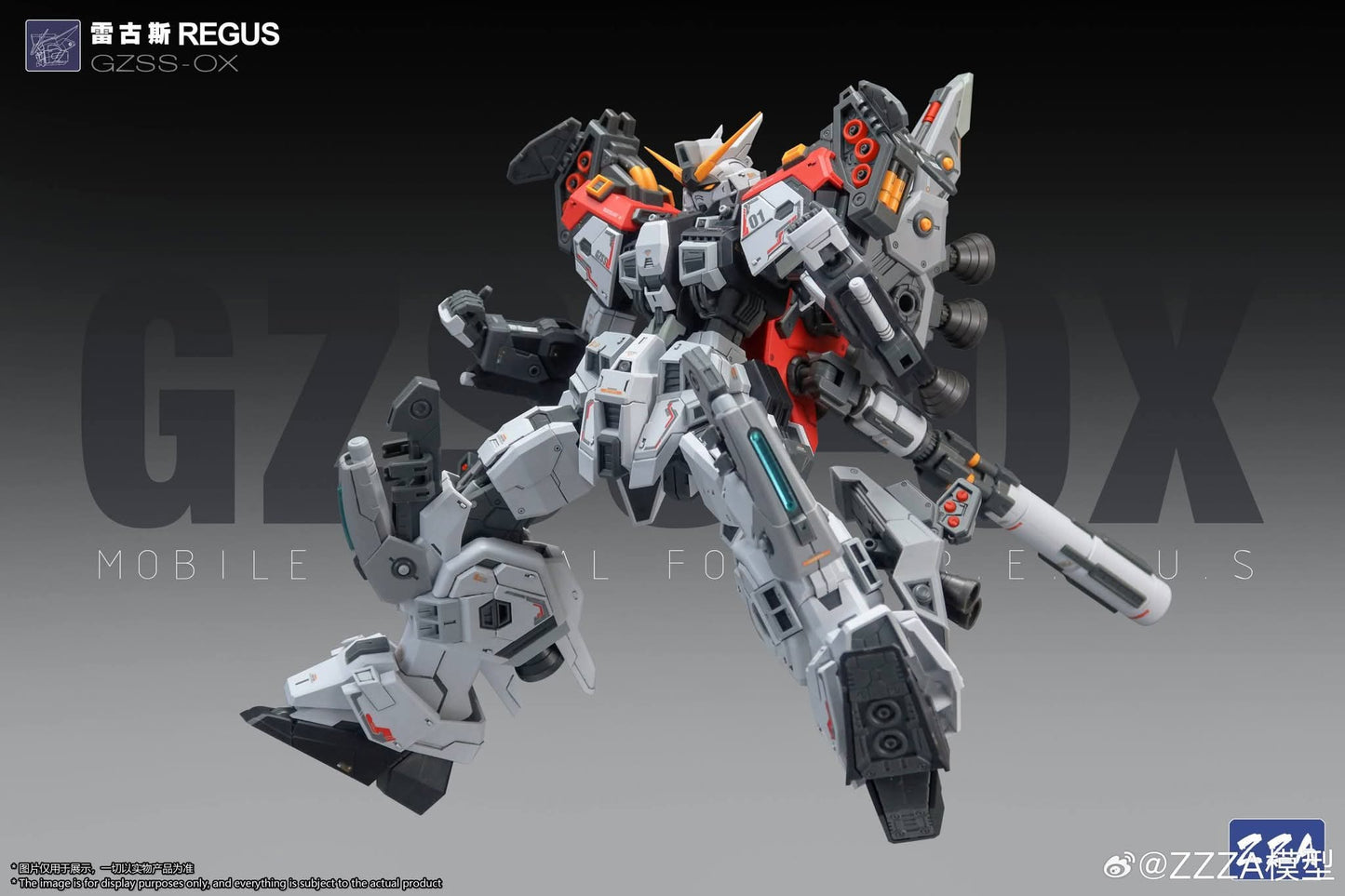 ZZA 1/100 REGUS