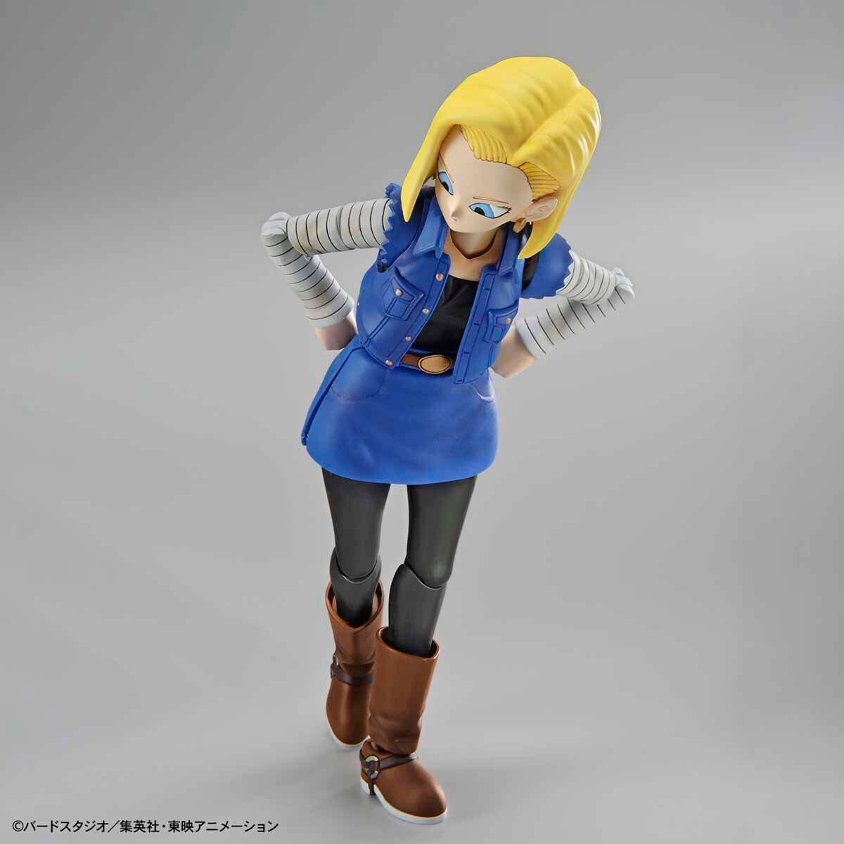 Bandai Figure-Rise Standard Android #18(Pkg Renewal)