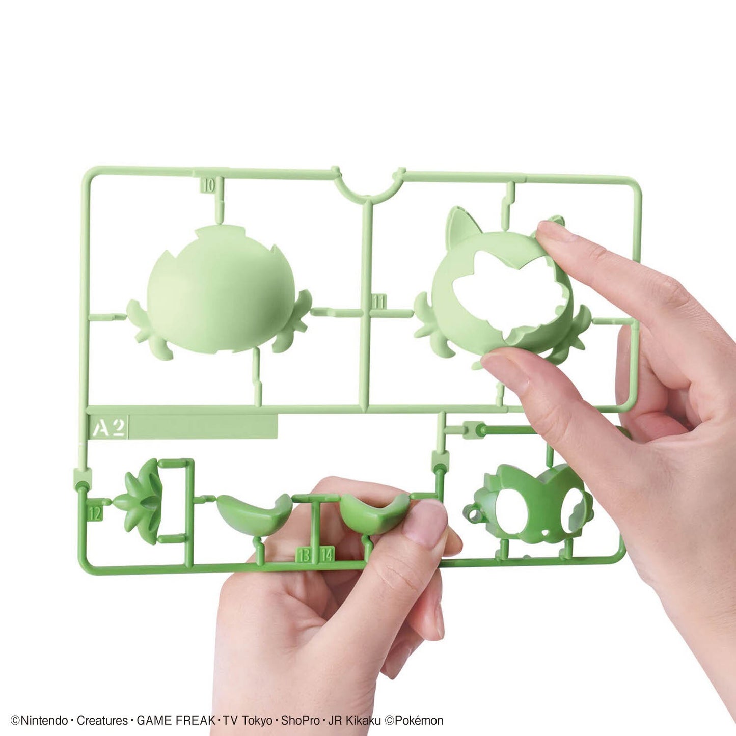 Bandai Pokemon Model Kit QUICK!! 18 Sprigatito